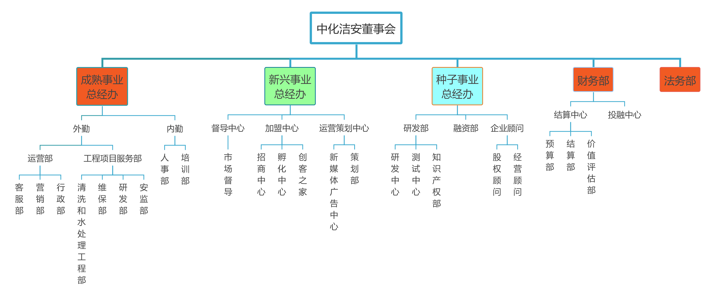图13中化洁安组织结构.png